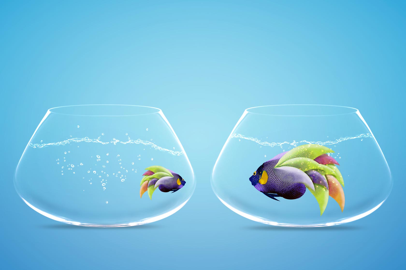 Competition_background_LVC